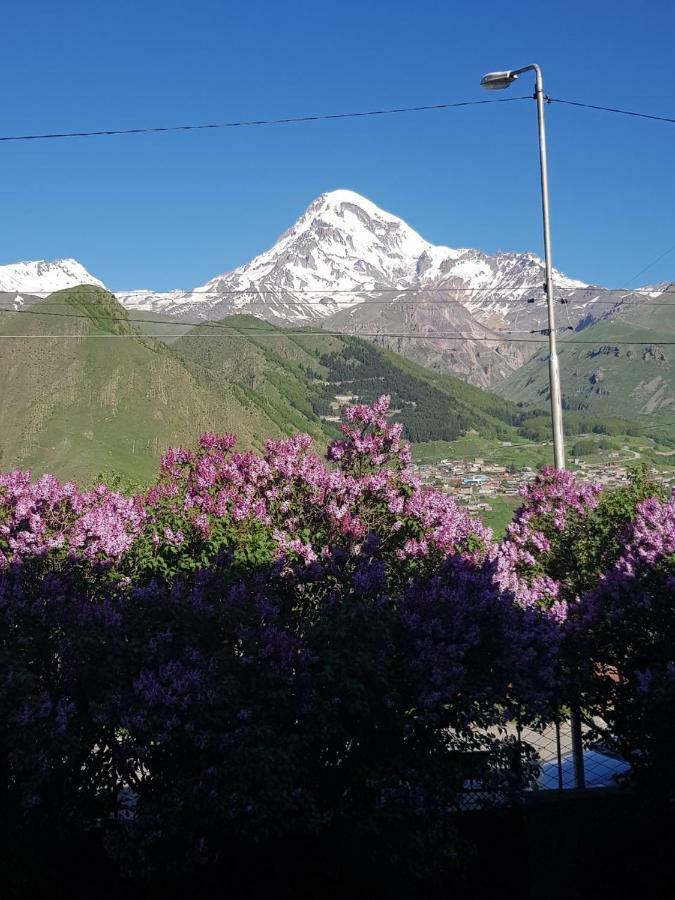Hilltop Kazbegi Esterno foto